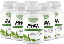 Nicoya PuraTea 6 bottles